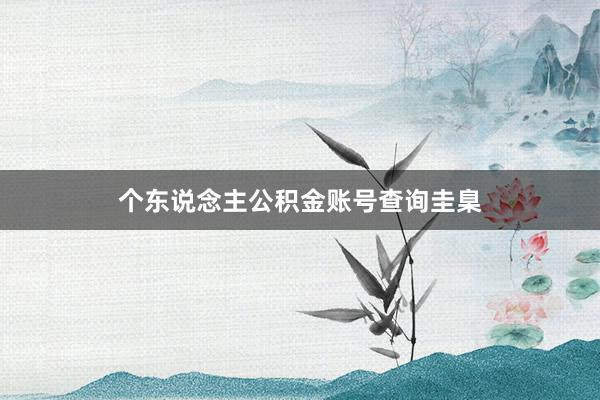 个东说念主公积金账号查询圭臬