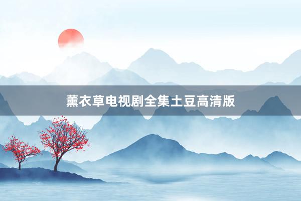 薰衣草电视剧全集土豆高清版
