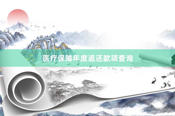 医疗保障年度返还款项查询