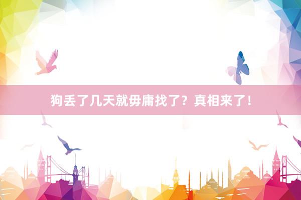 狗丢了几天就毋庸找了？真相来了！